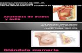 Anatomía de Mama y Axila