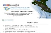 Project Server 2010-Como Usar Analisis
