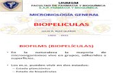 Biopeliculas Micro General