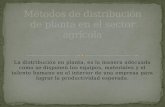 Metodos de Distribucion de Planta Grupo 1