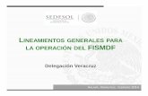 Lineamientos para la Operacion del FISMDF