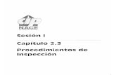 CAPITULO 2.3 Procedimientos de Inspeccion.pdf