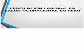 02 Legislación Laboral en Salud Ocupacional en Perú