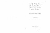 Agamben, Giorgio - Lo que Queda de Auschwitz (El Musulman).pdf