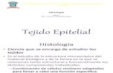 TEJIDO EPITELIAL(1).pdf