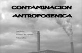 Contaminación Antropogénica