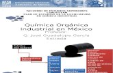 Química Orgánica Industrial en México JOSE GGE