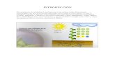 Fertilizacion Foliar en Vides[1]
