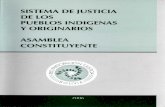 SISTEMA DE JUSTICIA DE LOS PUEBLOS INDIGENAS