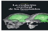 La Evolucion Cerebral de Los Hominidos Iyc 0212