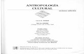 Ember Ember, Comunicación y Lenguaje, Antropología cultural