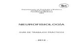 Guia TP Neuro 2012 FINAL.pdf