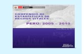 hechos vitales peru 2011.pdf