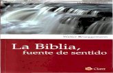 379 - Walter Brueggemann - La Biblia Fuente de Sentido