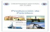 Produccion de Petroleo