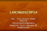 Clase Laringoscopia