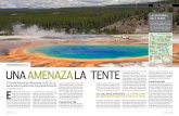 Historia y Vida Yellowstone