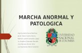 Marcha Anormal y Patologica
