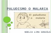 PALUDISMO O MALARIA.pptx