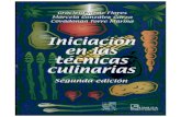 Iniciacion Tecnicas Culinarias 0 Al 80