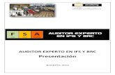 Auditor Experto en Ifs y Brc-presentaciã“n