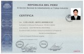 Certificados PDF