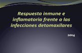 APUNTE Respuesta Inmune e Inflamatoria Frente a Las Infecciones Detomaxilares 2015