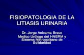 Fisiopatologia de La Litiasis Urinaria (1)