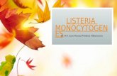 10 Listeria Monocytogenes