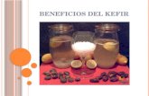 Beneficios y Recomendaciones Del Kefir de Agua