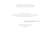 Dirofilariosis en Perros Revision Bibliografica