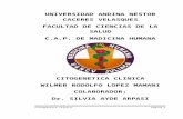 Citogenética Clínica monografía