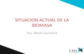 Situación Actual de la Biomasa.pdf