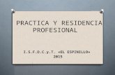 Practica y Residencia Profesional