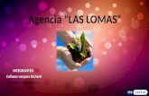 Agencia Las Lomas