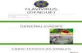 Flavivirus(Dengue) Virología