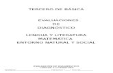 EVALUACIONES  de matematicas, entorno, lengua y pruebas trimestrales 3ER AÃ‘O siete.doc