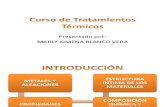 Curso de Tratamientos Térmicos. PDF
