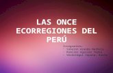 Las Once Ecorregiones Del Perú