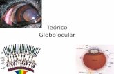 Teo Globoocular y Oido2013