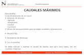 8. Caudales Máximos 18-05-15.pdf