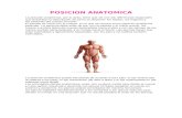 Posicion Anatomica