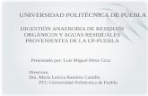 Digestion Anaerobia de Residos Organicos y Aguas de La UP-Puebla