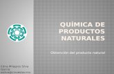 7 QPN Obtencion Del Producto Natural