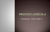 Proceso Agricola