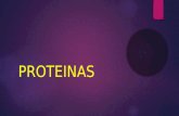 Proteinas i Unidad