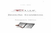 Presupuesto Público Peru(Trabajo) 2015