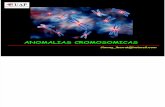 Anomalias Cromosomicas