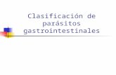 Clasificación de Parásitos GastrointestinalesII - Copia