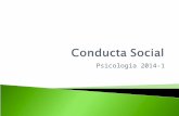 14 - Conducta Social